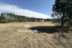 ділянка за адресою с. Забір'я, провулок Довженко