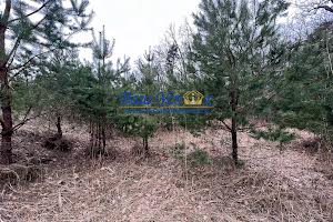 дом по адресу Ватутина пер., 11