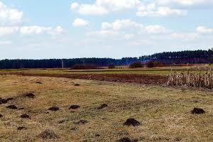 дом по адресу с. Бечаль, лісова, 24