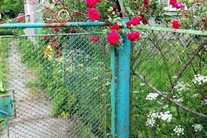 квартира по адресу Степана Бандеры ул., 38