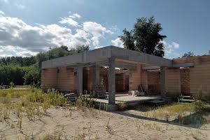 будинок за адресою Центральна вул., 19аа