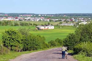 участок по адресу с. Посич, 