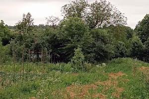 участок по адресу Вовчищовичі, 11