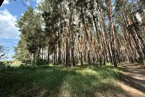 ділянка за адресою Слобідська вул., 15