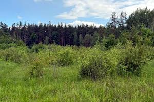 участок по адресу с. Козинцы, 