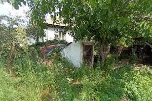 дом по адресу куща