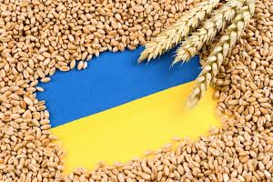 комерційна за адресою Вапняна вул. (Філодорова), 1