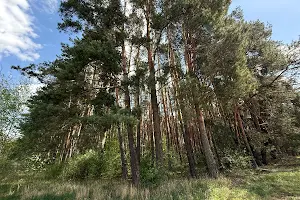ділянка за адресою Слобідська вул., 15