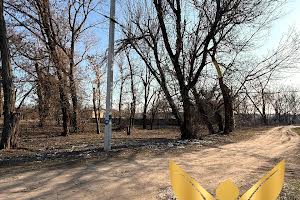 ділянка за адресою Миколи Міхновського вул.