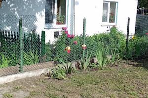 будинок за адресою Центральна