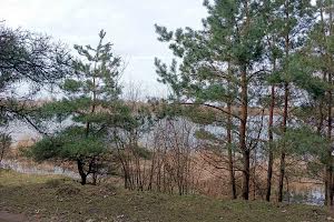 ділянка за адресою Водички