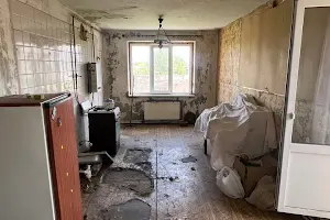 дом по адресу Милены Рудницкой ул. (50-летия Победы), 15