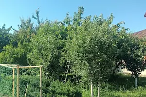 будинок за адресою Андрузького вул.