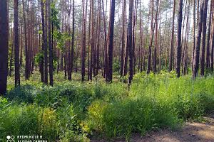 участок по адресу Лісова