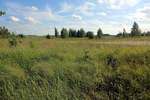 ділянка за адресою с. Зурівка, 