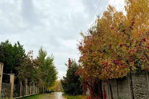 будинок за адресою Підгородне, Коротка