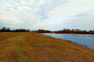 ділянка за адресою с. Брусилів, 