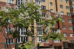 квартира за адресою Генерала М. Тарнавського пров., 4