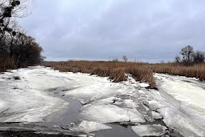 ділянка за адресою с. Свидівок, Шевченка, 111