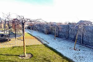 дом по адресу пгт. Царичанка, Соборна