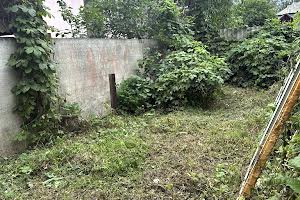 будинок за адресою тюльпанна
