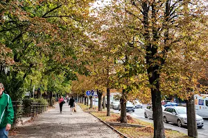 квартира по адресу Возрождения просп., 4