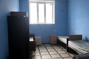 комерційна за адресою Дружби вул., 1