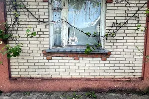дом по адресу соснова 23, 23