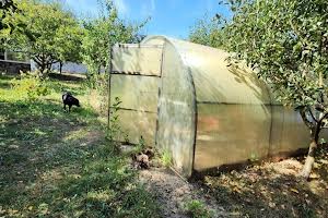 будинок за адресою с. Вінницькі Хутори, Сонячна, 58