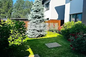 будинок за адресою вул. Лютнева