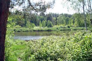 ділянка за адресою Сонячна