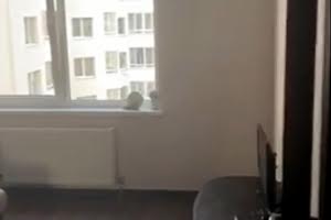 квартира за адресою с. Лиманка, Райдужний масив , 24