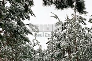 будинок за адресою Київська вул.