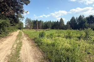 ділянка за адресою с. Гнідин, 