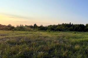 ділянка за адресою Миколи Петровського вул.