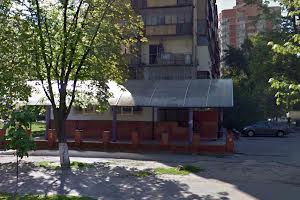 комерційна за адресою Ореста Левицького вул. (Академіка Курчатова), 20