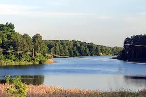 ділянка за адресою с. Петрушки, Польова