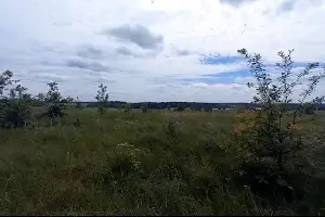 ділянка за адресою Соловяненка, 4