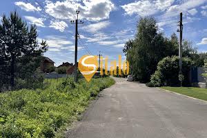 ділянка за адресою Прорізна