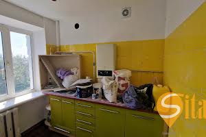 квартира за адресою Карпенка-Карого вул., 333