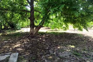 будинок за адресою Нагатенка