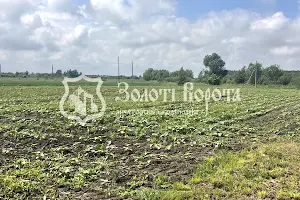 ділянка за адресою Старокиївська, 103