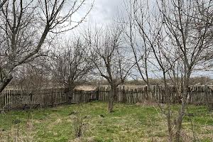 будинок за адресою Зелена