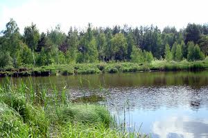 ділянка за адресою Сонячна