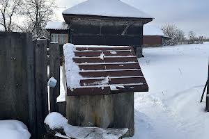 будинок за адресою с. Рижики, Рижики