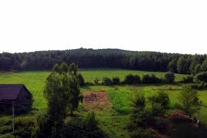 комерційна за адресою Центральна, 1