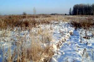 ділянка за адресою с. Старі Безрадичі, 