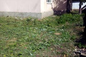 будинок за адресою Залізна вул., 50