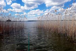 будинок за адресою с. Дем'янівка, центральна, 17