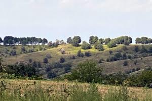 ділянка за адресою с. Верем'я, Луки Дубового